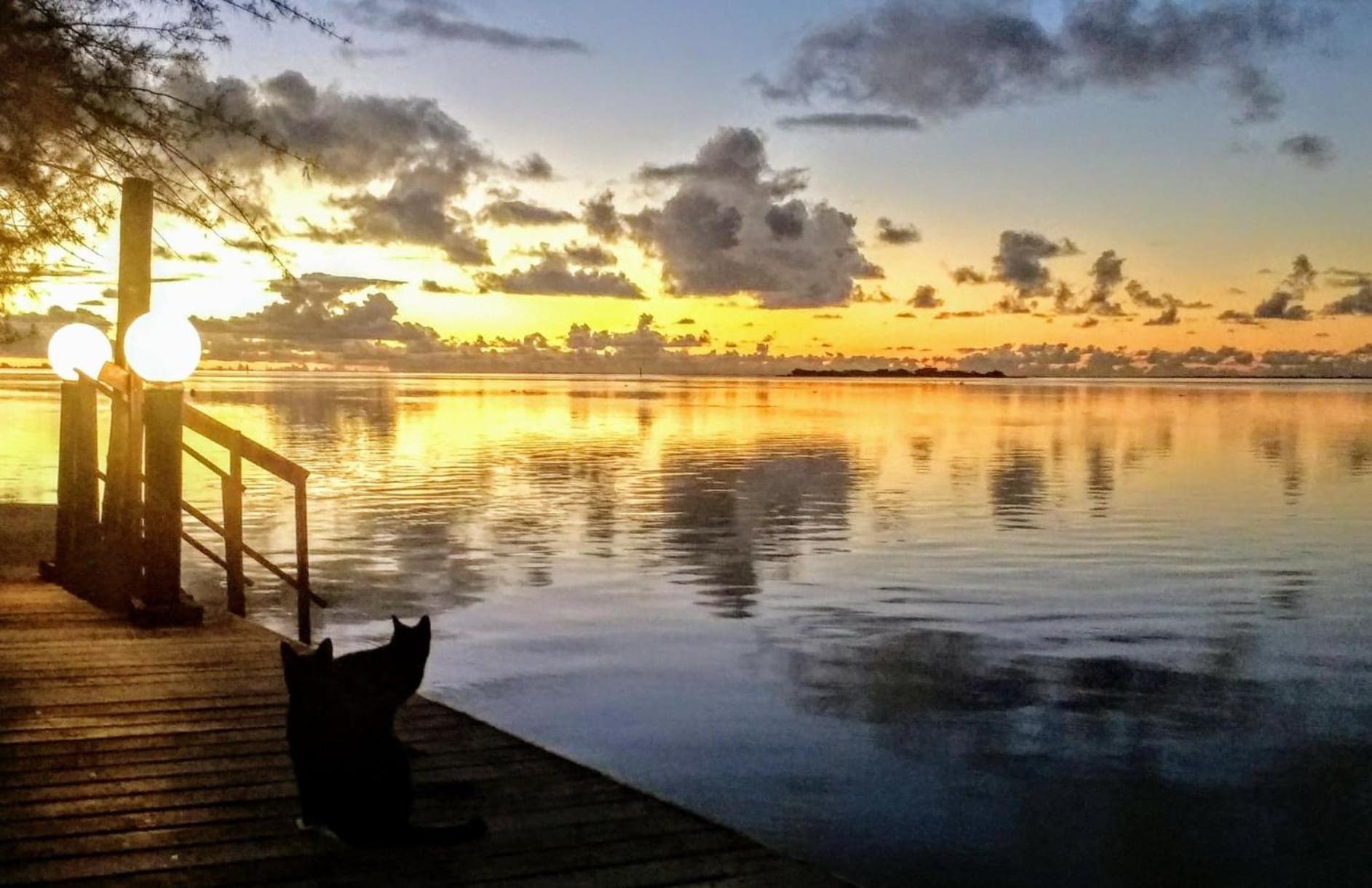 Hôtel Fenua Mata'i'oa Papetoai Esterno foto